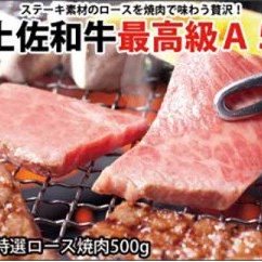 土佐和牛特選ロース焼肉500g 焼き肉 やきにく ヤキニク バーベキュー BBQ最高級 A5 送料無料 焼肉セット 特産品 高知県産 ギフト  （新）〈高知市共通返礼品〉お歳暮 御歳