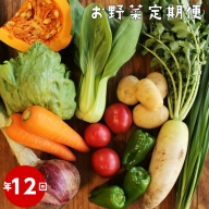 高知から直送！旬の季節のお野菜定期便（7～10品）
