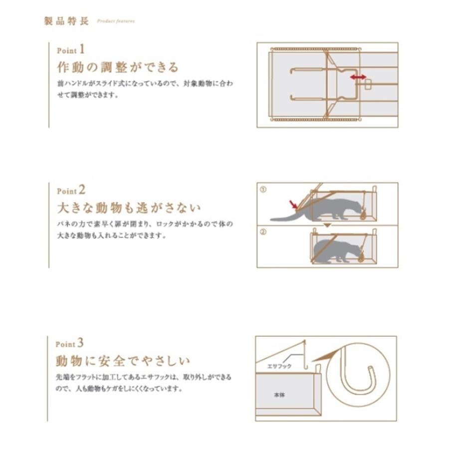 栄ヒルズ 捕獲器ジャンボ ブラック D type No.203 IT-3