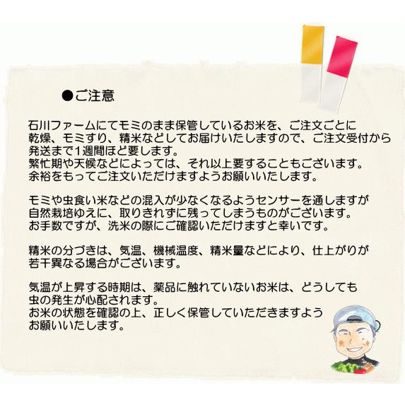 精米10kg (5分づき) 　石川ファーム　自然栽培米 無農薬　R5年　新米