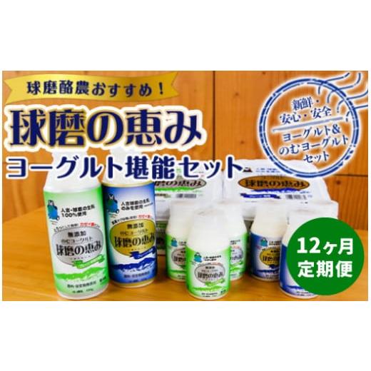 ふるさと納税 熊本県 湯前町 球磨の恵みヨーグルト堪能セット