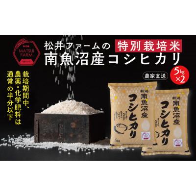 ふるさと納税 南魚沼市 南魚沼産コシヒカリ〜特別栽培米〜(10kg)