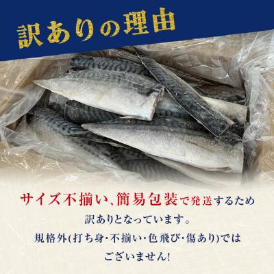 ふるさと納税 石巻市 塩サバフィレ 3.5kg