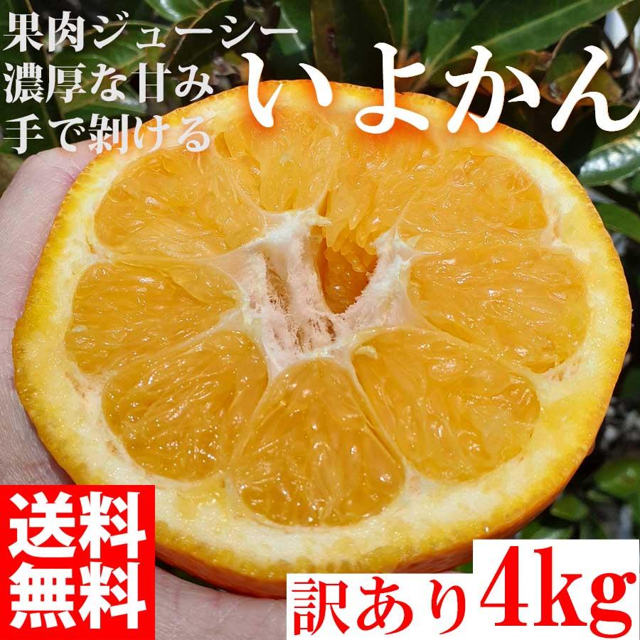  みかん いよかん 4kg 訳あり 大特価 ブランド 和歌山県産 産直 オレンジ フルーツ 果物 伊予柑