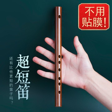 迷你短笛無膜孔初學橫笛入門竹笛小笛子隨身易學口袋樂器古風