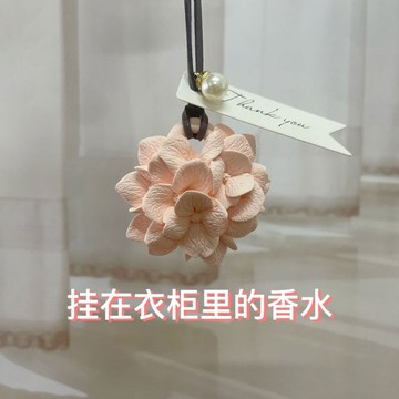 ✨   在台出貨 ✨   香薰繡球花擴香石衣櫃櫥櫃宿舍車內去味香氛掛飾自帶香ins風掛飾