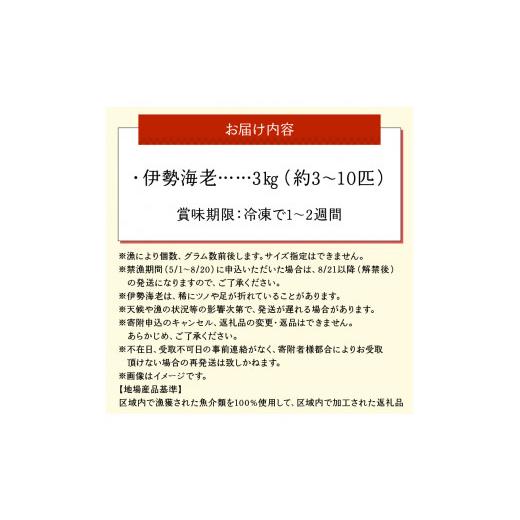 ふるさと納税 鹿児島県 和泊町 ■ボイル済み　伊勢エビ冷凍　3kg