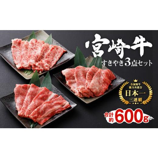 ふるさと納税 宮崎県 えびの市 宮崎牛 すきやき3点セット 600g 黒毛和牛 牛肉 スライス