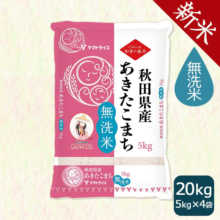 米 お米 あきたこまち 無洗米 米 お米 20kg 秋田県産 5kg×4 令和5年産