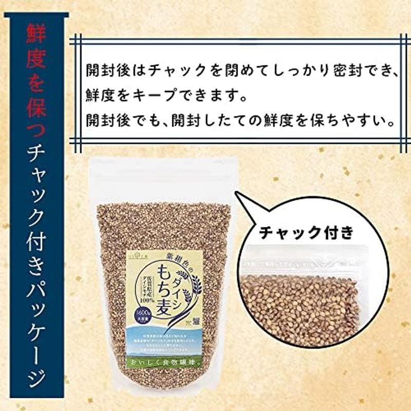 もち麦 国産 ダイシモチ 佐賀県産100% 紫紺色のダイシもち麦 1600g（1.6kg） リフ工房 もちむぎ 国産 もち 麦 麦飯 麦ごは