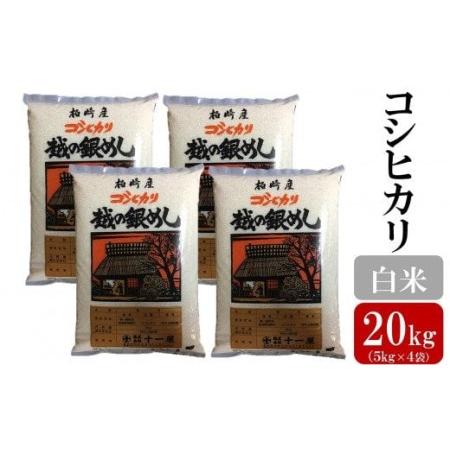 ふるさと納税 令和5年産新米コシヒカリ 白米 20kg（5kg×4袋） [G428