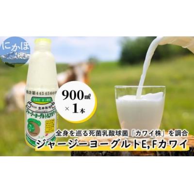 ふるさと納税 にかほ市 ジャージー ヨーグルト E・Fカワイ 900ml×1[No.5934-0364]