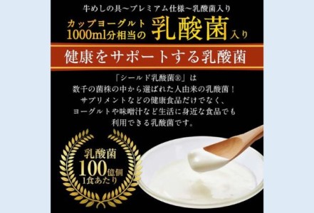 牛丼 松屋 乳酸菌入 プレミアム仕様 牛めしの具 20個 冷凍 セット