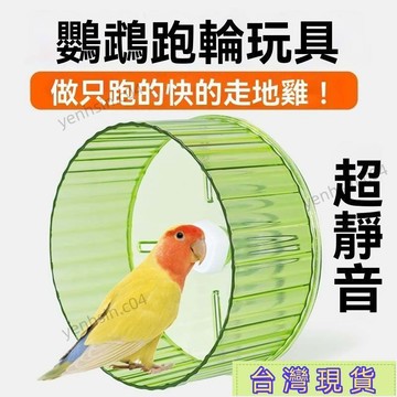 臺灣出貨⚡小鳥跑輪鸚鵡玄鳳旋轉跑步機益智跑輪轉輪牡丹鳥解悶趣味虎皮跑輪