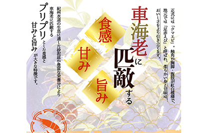 紀州和歌山産天然足赤えび540g×2箱（270g×4パック）　化粧箱入 ※着日指定不可 ※2023年11月上旬～2024年2月下旬頃に順次発送予定