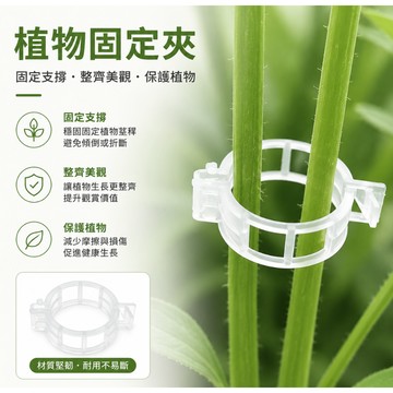 台灣出貨👑植物固定夾 藤蔓固定夾 植物固定器 瓜果固定扣 藤蔓夾 園藝夾 花夾 樹根固定夾 枝條夹 水果 瓜類