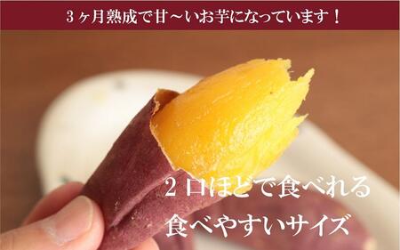 さつまいも 熟成 紅はるか 鹿児島県産 4.5kg 500g × 9袋 SSサイズ 先行予約 2024年1月より順次発送