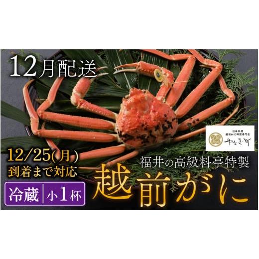 ふるさと納税 福井県 福井市 ＜12月発送分＞蟹好きにおすすめ！老舗カニ専門店の「越前ずわいがに」(500g〜700g)【 越前がに ズワイガニ ずわいがに 越前 かに…