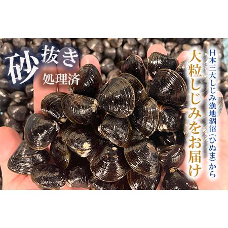 ふるさと納税 涸沼産 大粒 冷凍 シジミ 1.5kg 干物 3点セット （サバ ホッケ 目光） しじみ 蜆 大和しじみ ヤマトシジミ 大玉 砂抜き済 冷凍 味.. 茨城県大洗町