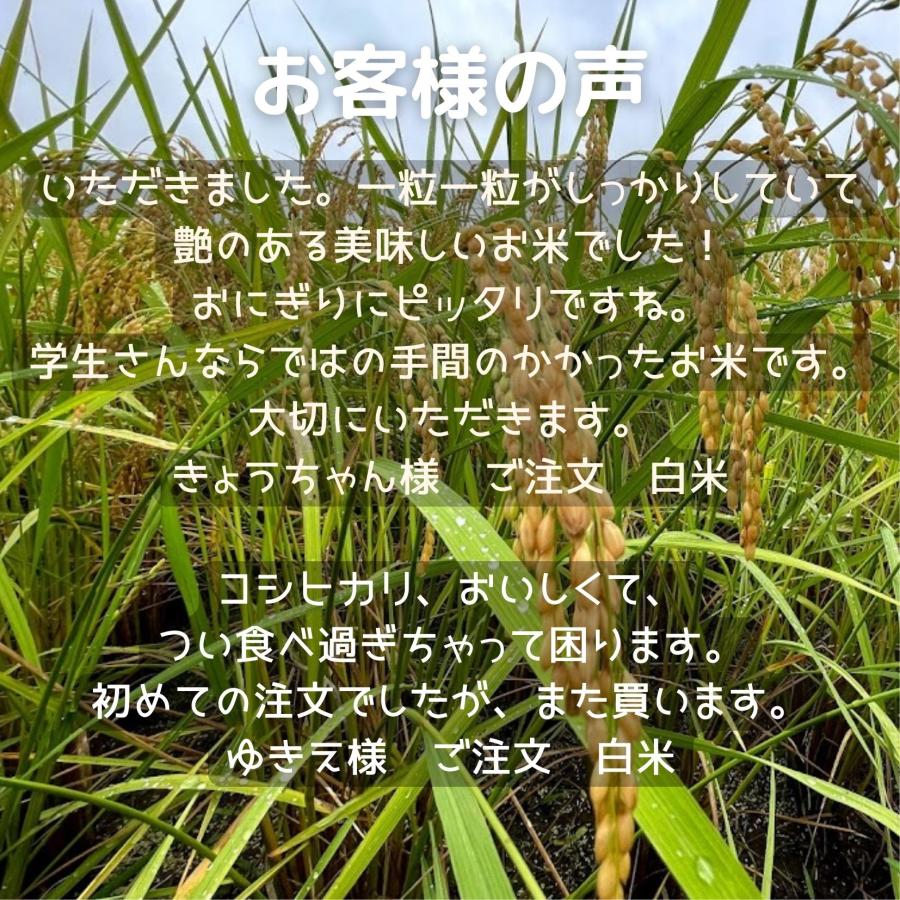 農業学校が作ったコシヒカリ3kg　無洗米　白米　７分つき　３分つき　精米したて　こしひかり　茨城県産　米