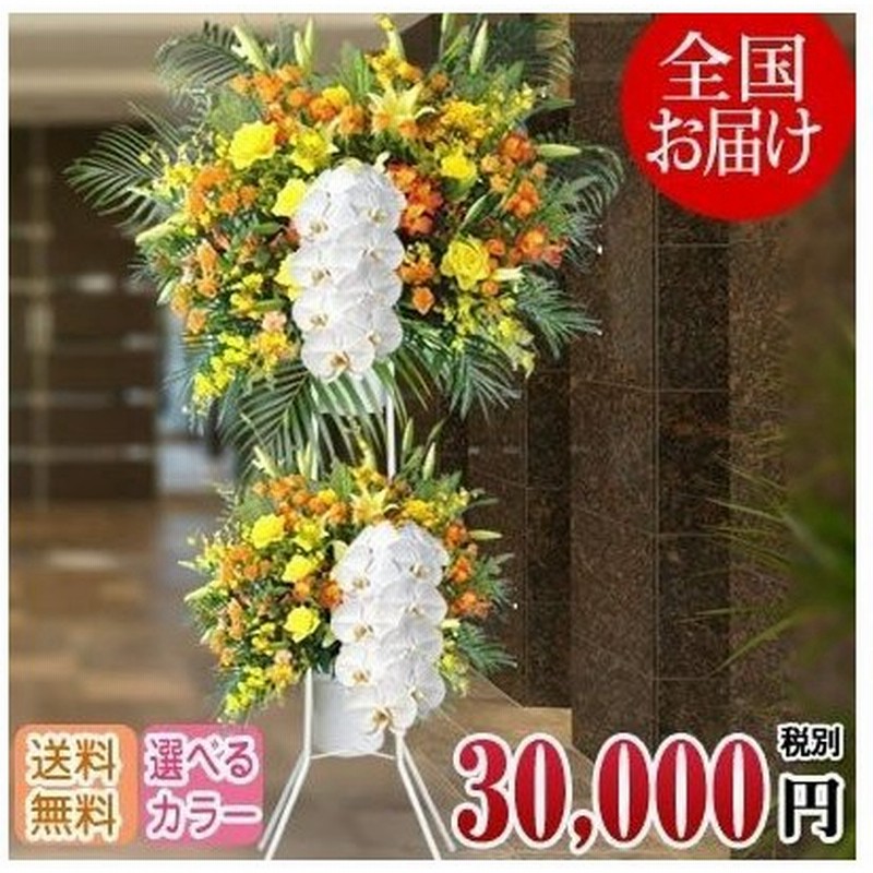 胡蝶蘭付きスタンド花 2段 花色選べる5色 円 税別 180cm位 設置 回収無料 東京都 神奈川県 大阪府 名古屋市 お祝い 開店 開業 開院 花 Stde 通販 Lineポイント最大get Lineショッピング