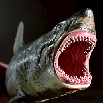 新款仿真空心大號巨齒鯊錘頭虎大白鯊魚兒童海洋動物生物玩具模型