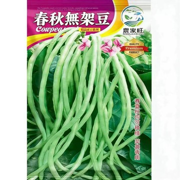 台灣種子【原裝四季無架豆豇豆種子】 耐熱抗病易栽 家庭菜園 原裝正品 四季可播種 陽台盆栽 地播蔬菜 自種有機豆類