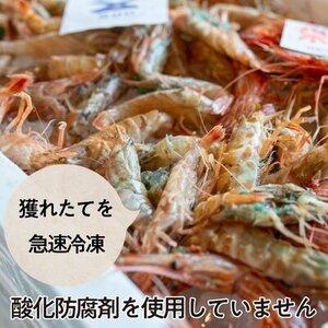 ふるさと納税 越前ガラエビ 約500g（約35〜40尾） 福井県若狭町