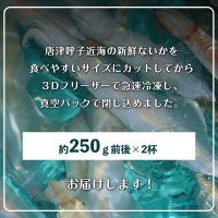 唐津呼子産いか活造り 2杯(約250g×2) 急速冷凍 新鮮そのまま食卓へ！イカ 刺身 簡単 ギフト