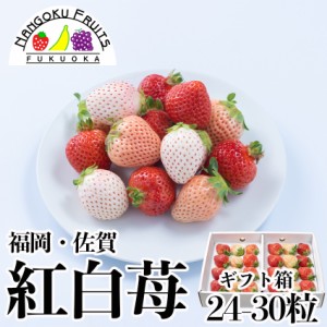 福岡・佐賀産紅白いちごギフト箱(24～30粒)