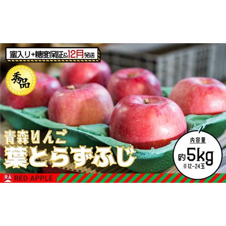 ふるさと納税 蜜入り＆13度糖度保証 秀品 葉とらずふじ 約5kg 青森県弘前市