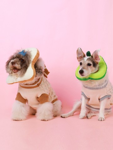 可調節食物造型寵物防舔圈