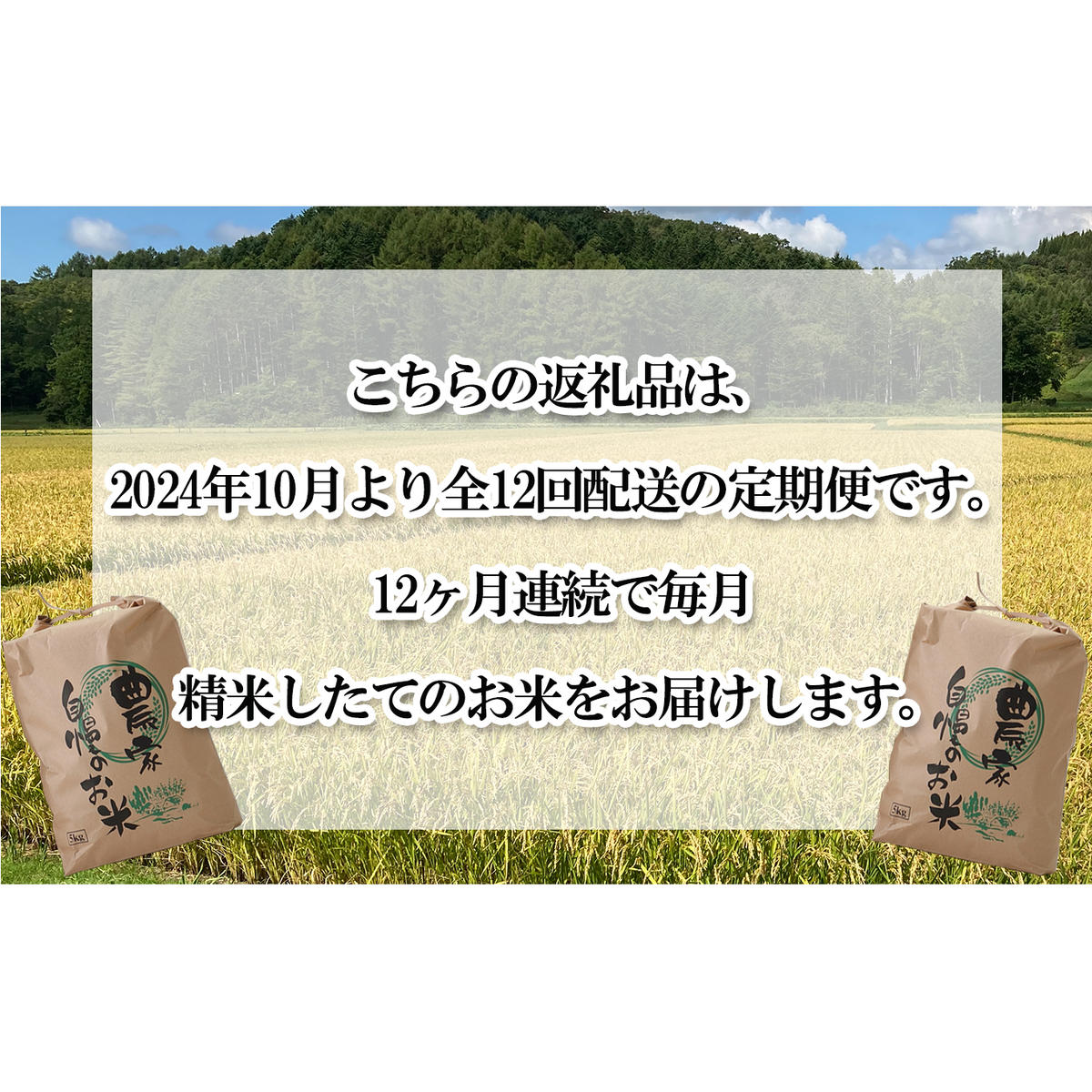 ＜ 予約 定期便 全12回 ＞ 北海道産 希少米 おぼろづき 白米 計 10kg (5kg×2) ＜2024年10月より配送＞