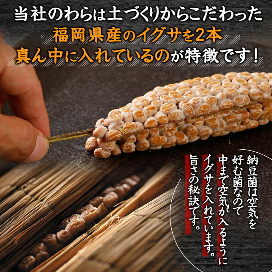 道南平塚食品 くま納豆 北海道のわら納豆 小粒 80g