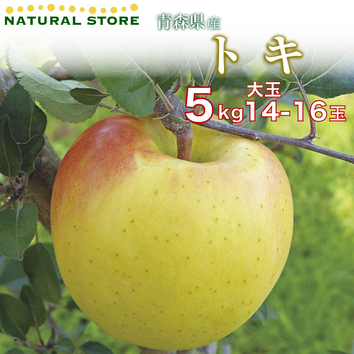 [最短順次発送]  トキりんご 14玉-16玉（大玉） 5kg 箱 りんご 青森県産 トキりんご ときりんご ギフト 特大玉 高糖度