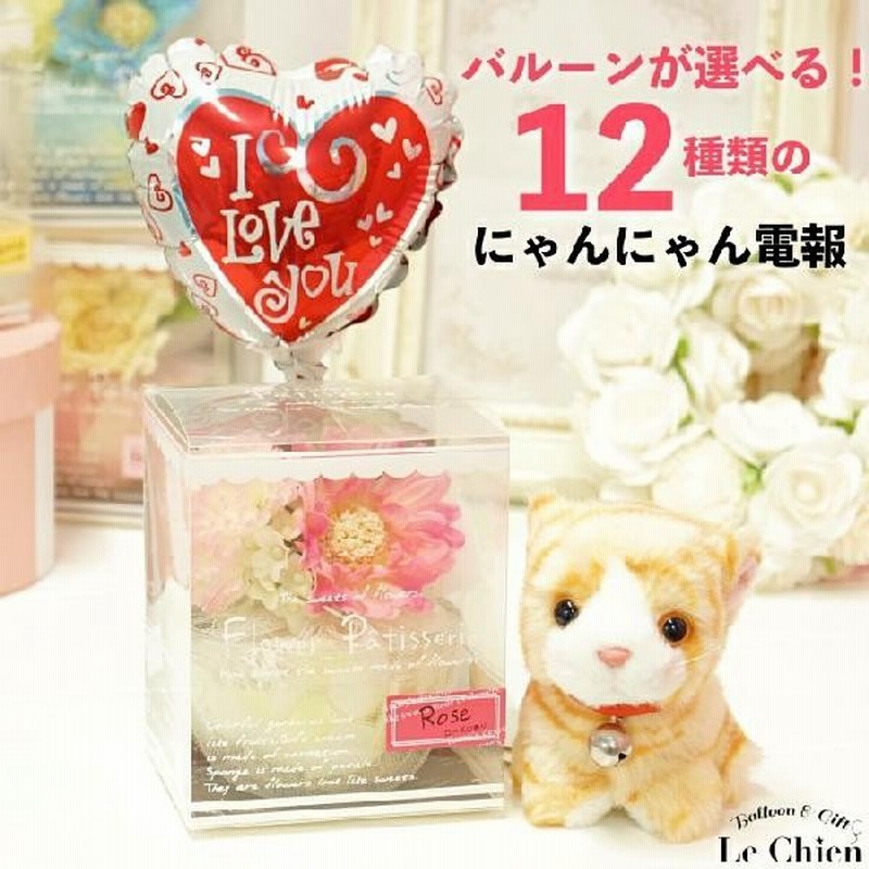 バルーン電報 ぬいぐるみ電報 猫 ミニにゃんこ ミニフラワー 選べるバルーン 祝電 結婚式 誕生日 発表会 バレンタイン ホワイトデー 入学 卒業 かわいい 通販 Lineポイント最大0 5 Get Lineショッピング