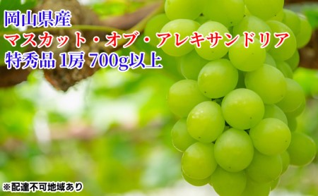 ぶどう 2024年 先行予約 マスカット・オブ・アレキサンドリア 特秀品 1房（1房700g以上）化粧箱入り 葡萄 岡山県産 国産 フルーツ 果物 ギフト