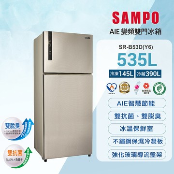 SAMPO聲寶 535L AIE全平面鋼板系列變頻兩門冰箱-香檳銀 SR-B53D（Y6）_廠商直送