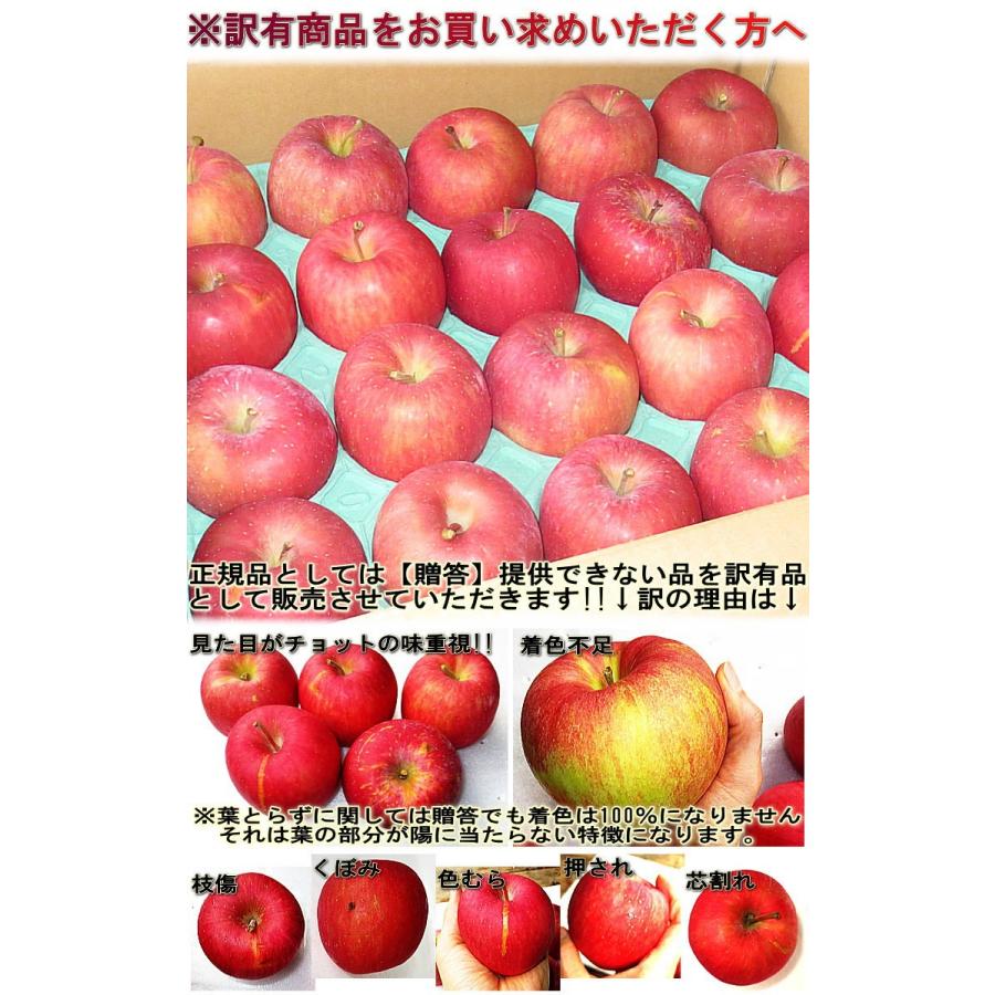 太陽ふじりんご 訳あり 約5kg 12〜22玉 青森県産 みずみずしいシャキッとした食感の青森リン サンフジ りんご 林檎 訳アリ