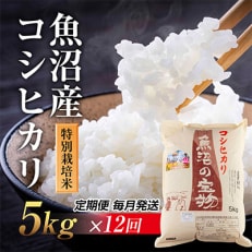 新潟県 魚沼産 コシヒカリ 特別栽培米 魚沼の宝物 精米 5kg全12回