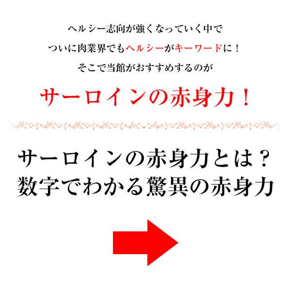 サーロイン ステーキ ステーキ肉 赤身 バーベキュー 熟成肉  夏ギフト 福袋 熟成・厚切りサーロインステーキ（約300g）×4枚セット 中元 帰省 土産