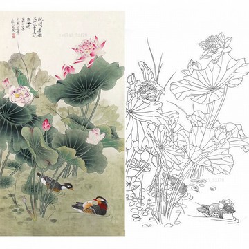 實物參照彩圖 底稿 可上色 列印稿 宣紙 工筆白描底稿荷花鴛鴦四尺六尺橫幅實物白紙列印稿-83