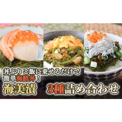 ふるさと納税 宮城県 名取市 丼ぶりご飯に乗せるだけで 簡単 海鮮丼! 海美漬 3種 詰合せ