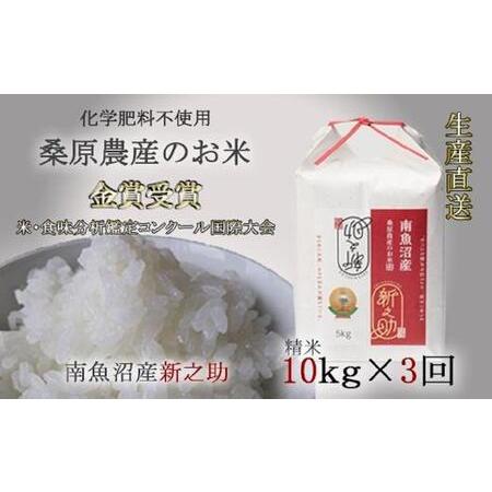 ふるさと納税 （新米予約）桑原農産のお米10kg×3カ月　南魚沼産新之助 新潟県南魚沼市