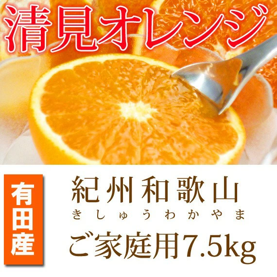 紀州有田産清見オレンジ　７.５kg ※2024年3月下旬頃～4月下旬頃に順次発送予定