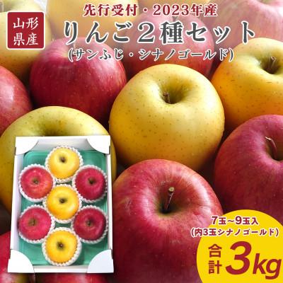 ふるさと納税 山形県 山形県産 りんご2種セット(サンふじ シナノゴールド) 3kg