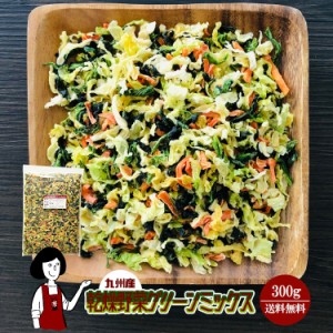 乾燥野菜グリーンミックス300g〔チャック付〕／九州産 乾燥野菜 ほうれん草 キャベツ 人参 メール便 送料無料 チャック付 九州産 ミック