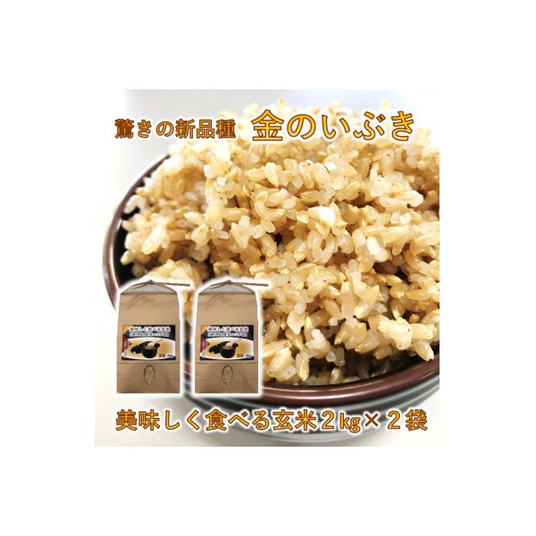 ふるさと納税 山陽小野田市 山陽小野田市産　美味しく食べる玄米2kg×2袋