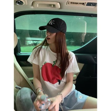 荒荒家 趣味蘋果刺繡印花T恤2025夏季新款美式復古顯瘦正肩短袖女