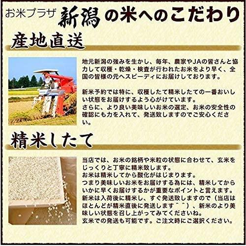 新潟県産 こしいぶき 白米 5kg 令和4年産